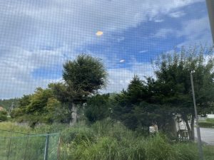 朝飯前のひと踊り👍